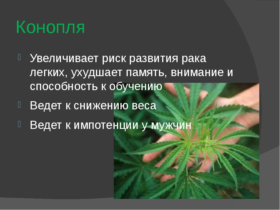 Курить марихуану вредно конопля и закон украины